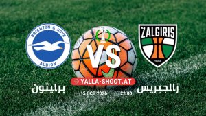 بث مباشر مباراة برايتون و زالجيريس في دوري المؤتمر الأوروبي يلا شوت – yallashoot